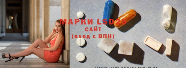 ПСИЛОЦИБИНОВЫЕ ГРИБЫ Няндома