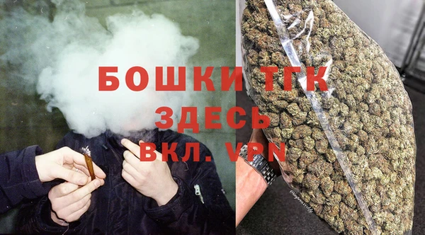 ПСИЛОЦИБИНОВЫЕ ГРИБЫ Няндома