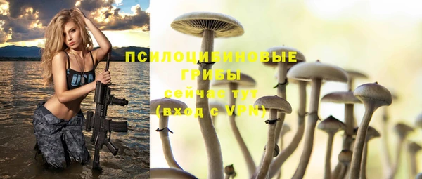 герыч Нязепетровск